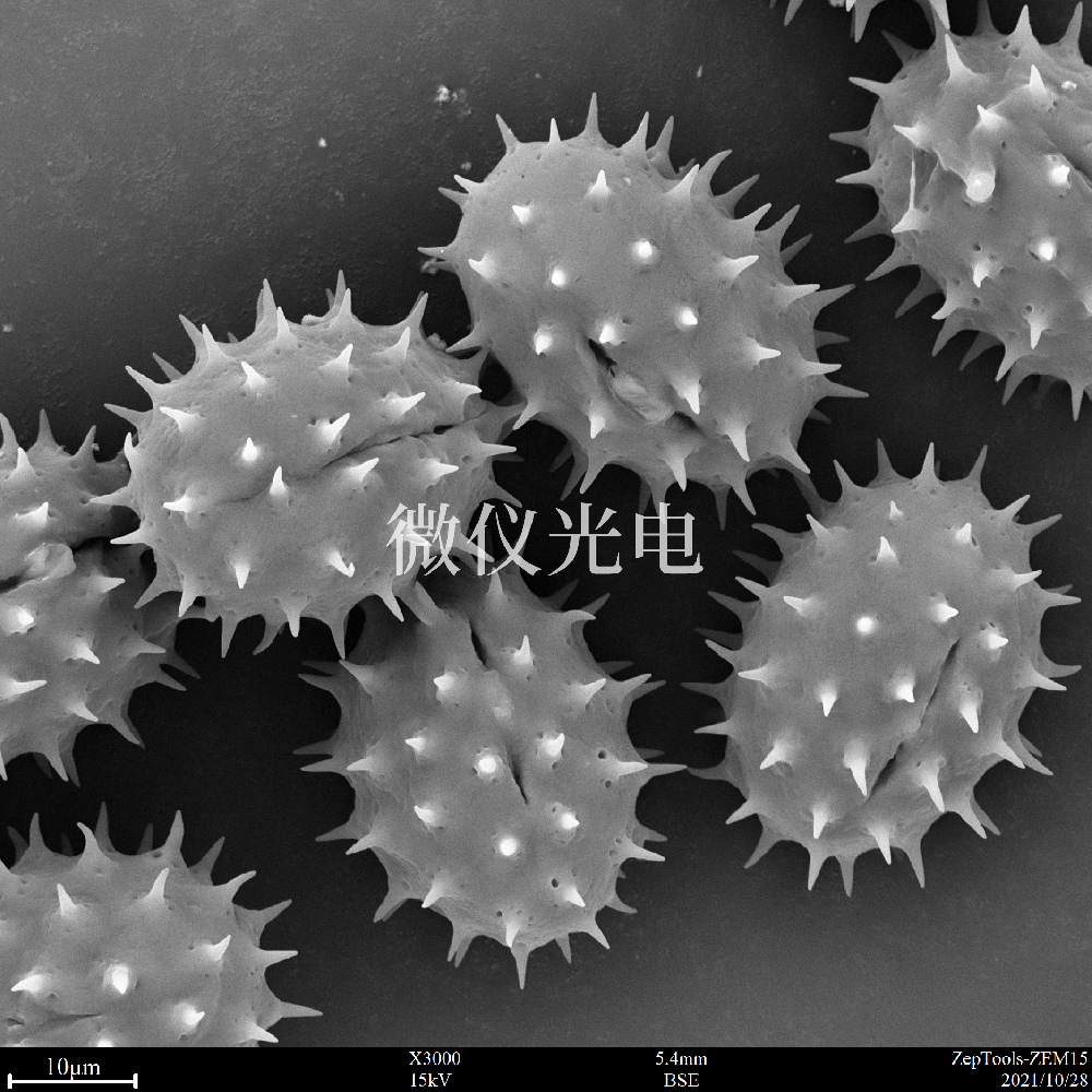 臺式掃描電鏡在納米材料中的應用介紹